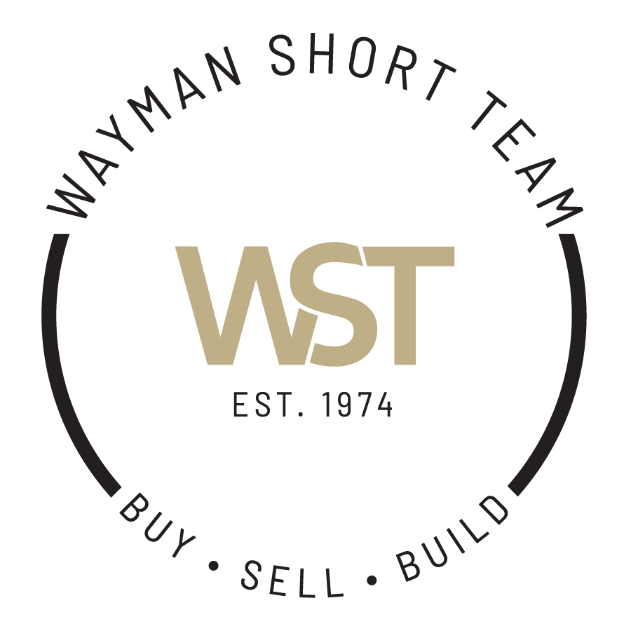 web logo transparent